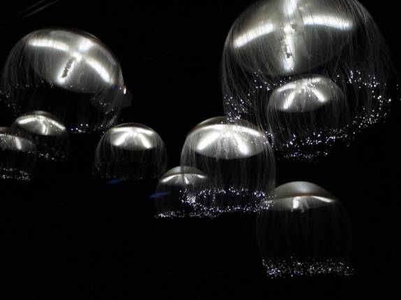 Incríveis águas-vivas luminescentes, no Aquário de Monterey, no litoral da Califórnia, nos Estados Unidos